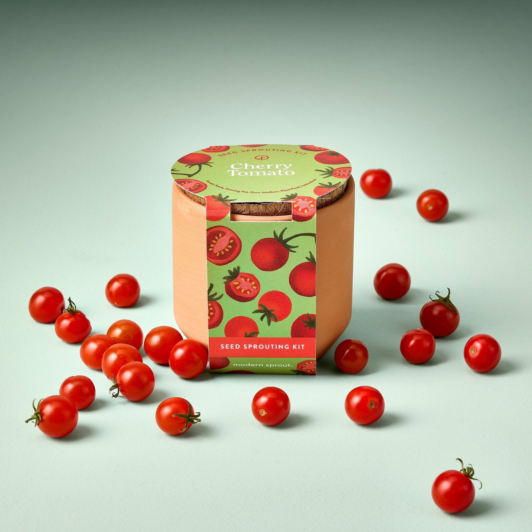 Tiny Terracotta Garden Kits - Cheeky Garden