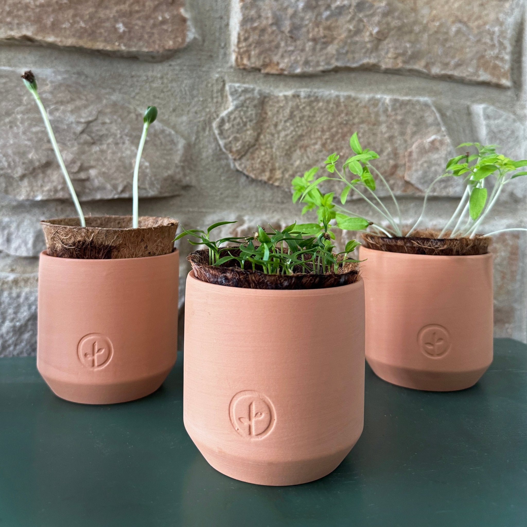 Tiny Terracotta Garden Kits - Cheeky Garden