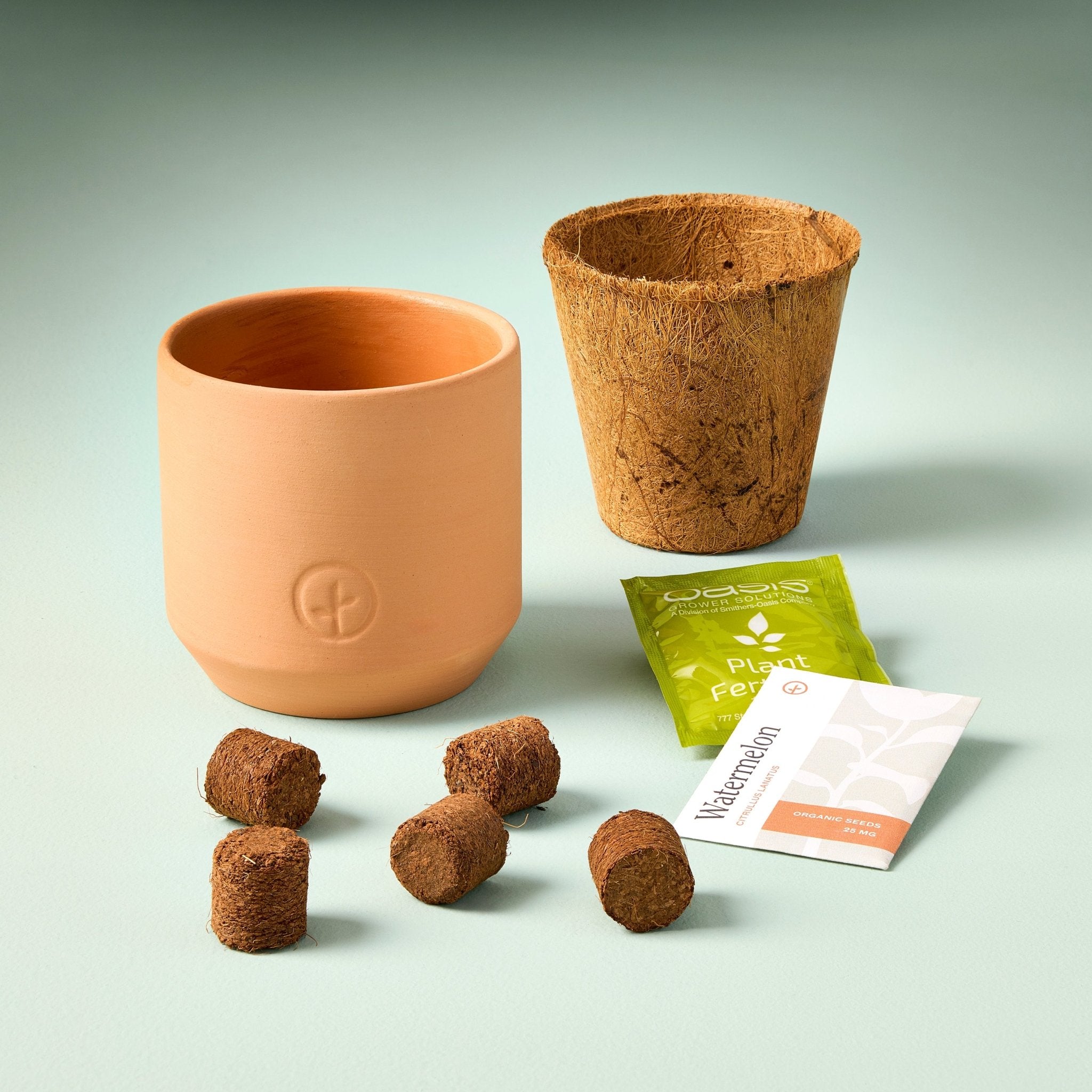 Tiny Terracotta Garden Kits - Cheeky Garden