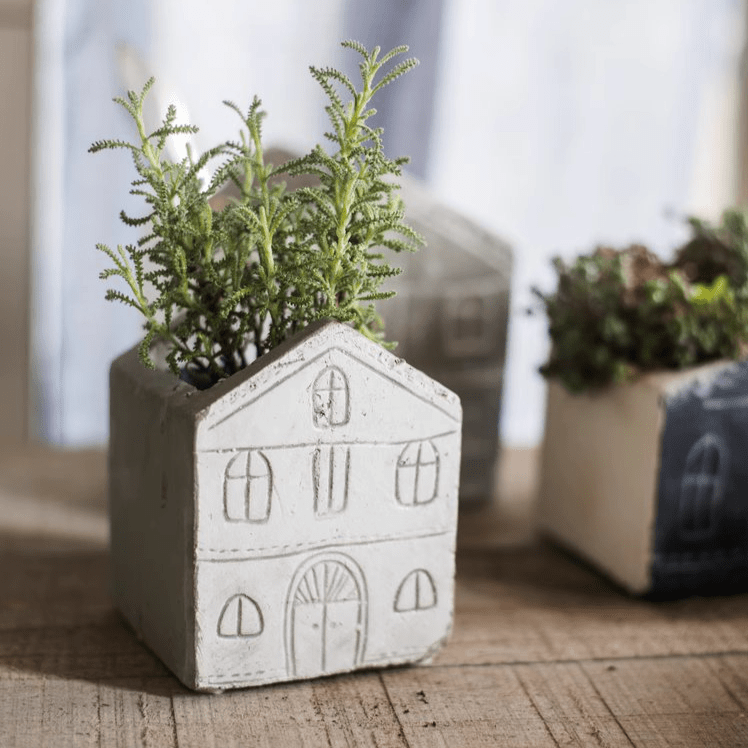 TinyHome Clay Planters - Cheeky Garden