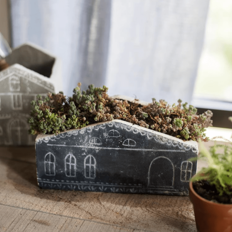 TinyHome Clay Planters - Cheeky Garden