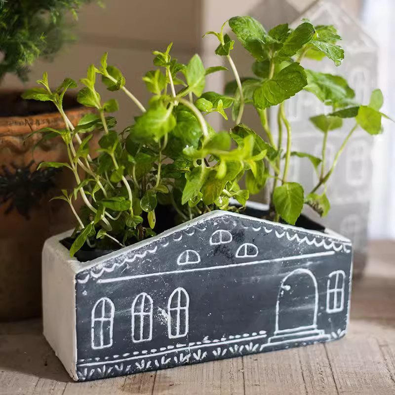 TinyHome Clay Planters - Cheeky Garden