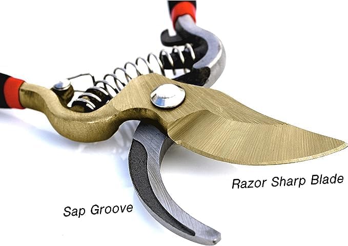 Titanium Bypass Garden Pruner Clippers - Cheeky Garden