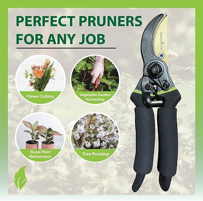 Titanium Soft Grip Garden Pruning Shears Clippers - Cheeky Garden