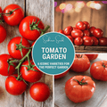 Tomato Garden Seed Collection – 6 Varieties - Cheeky Garden