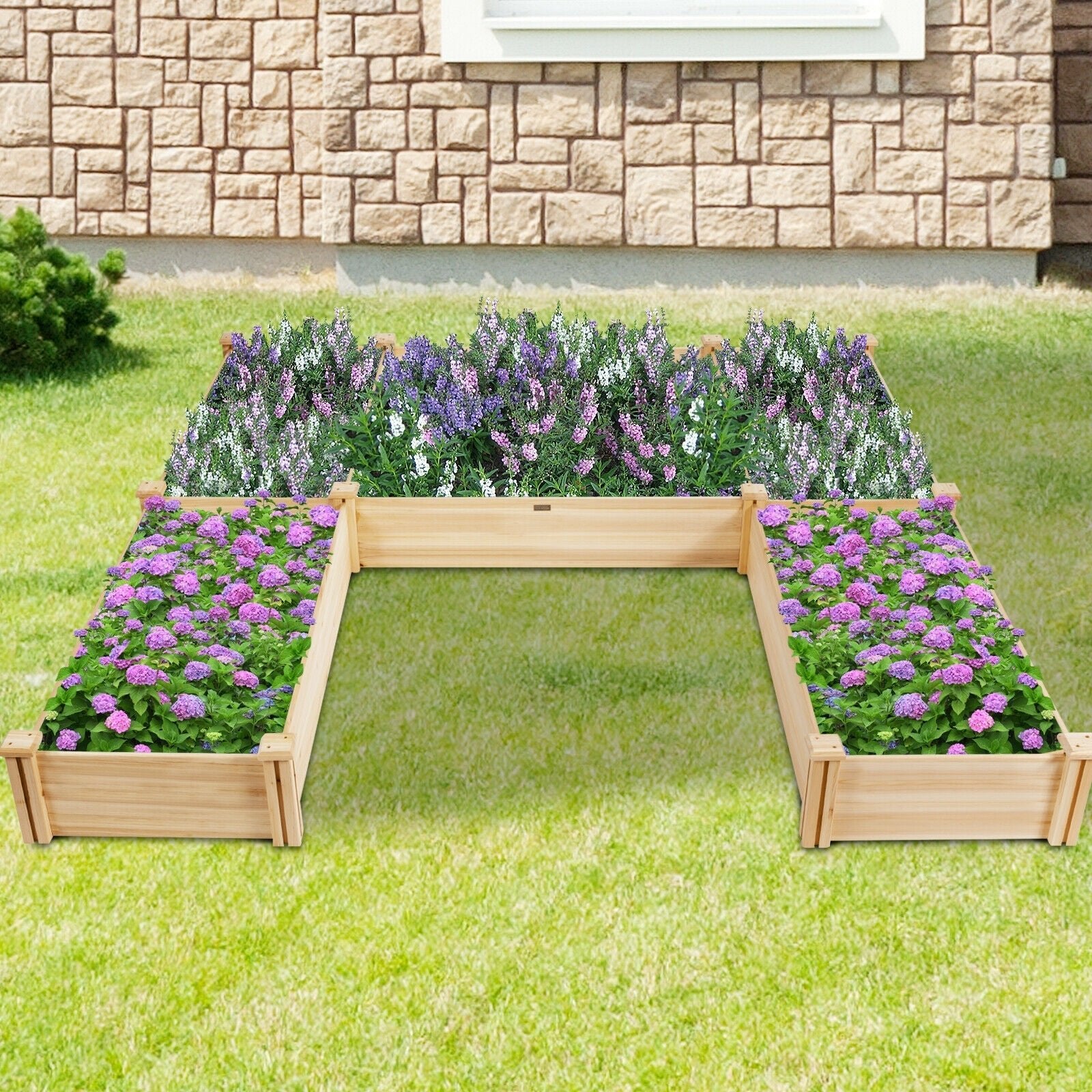 U-Shaped Wooden Garden Raised Bed for Backyard and Patio - Cheeky Garden