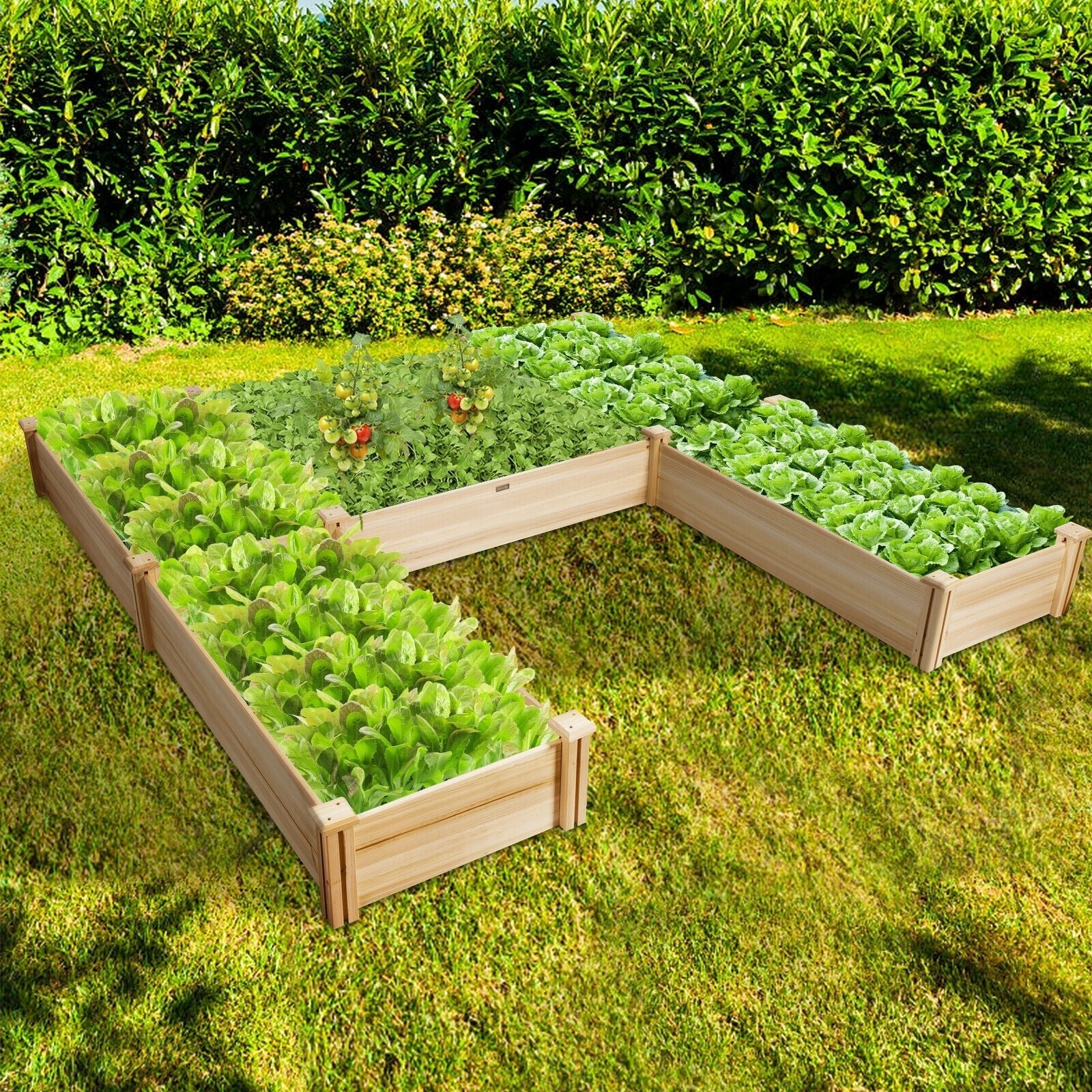 U-Shaped Wooden Garden Raised Bed for Backyard and Patio - Cheeky Garden
