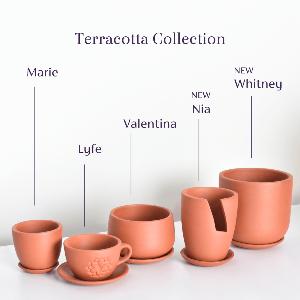 Valentina Terracotta Minimalist Planter 5.5" – Empty - Cheeky Garden