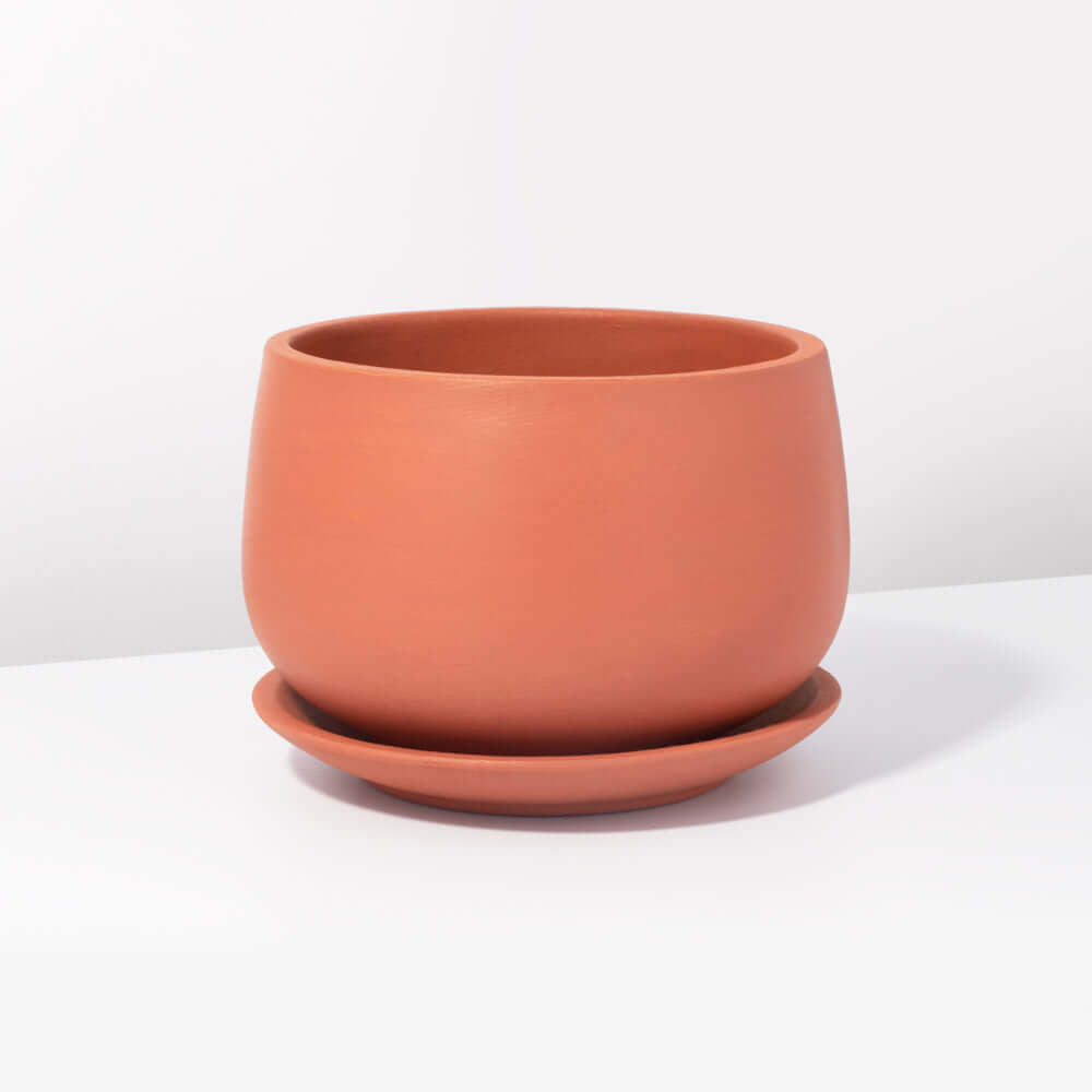 Valentina Terracotta Minimalist Planter 5.5" – Empty - Cheeky Garden