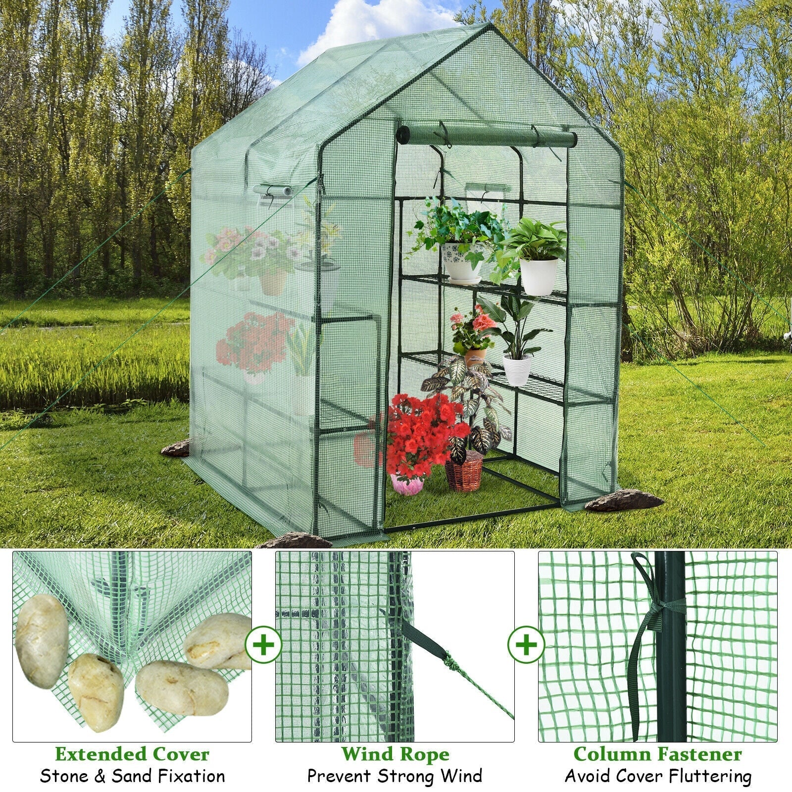 Walk-in Greenhouse 56 x 56 x 77 Inch Gardening with Observation Windows - Cheeky Garden