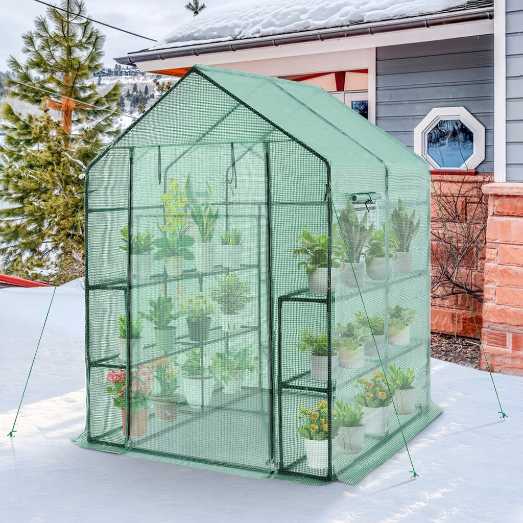 Walk-in Greenhouse 56 x 56 x 77 Inch Gardening with Observation Windows - Cheeky Garden