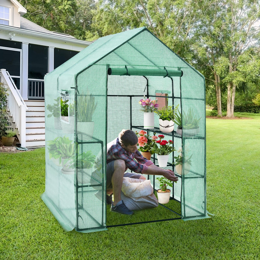 Walk-in Greenhouse 56 x 56 x 77 Inch Gardening with Observation Windows - Cheeky Garden