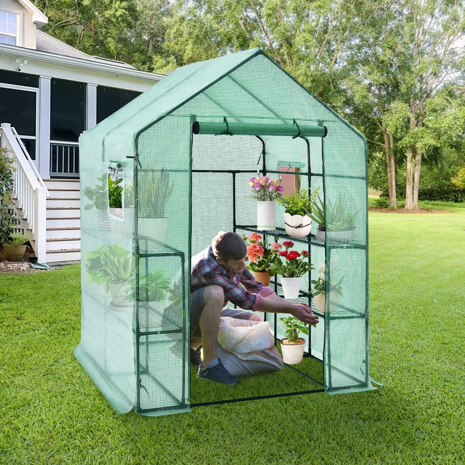 Walk-in Greenhouse 56 x 56 x 77 Inch Gardening with Observation Windows - Cheeky Garden
