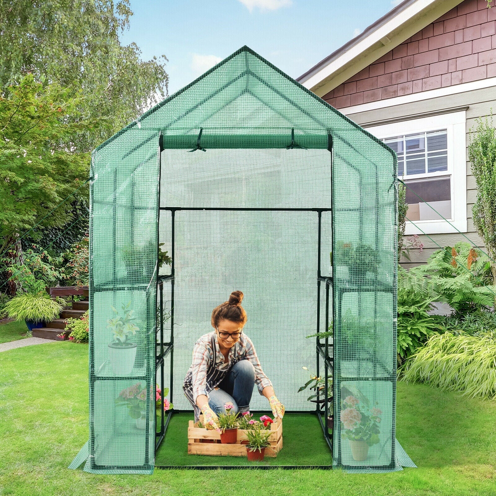 Walk-in Greenhouse 56 x 56 x 77 Inch Gardening with Observation Windows - Cheeky Garden