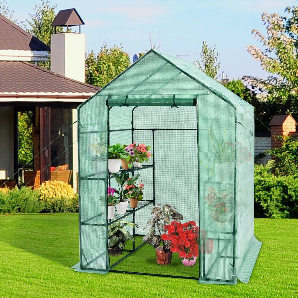 Walk-in Greenhouse 56 x 56 x 77 Inch Gardening with Observation Windows - Cheeky Garden
