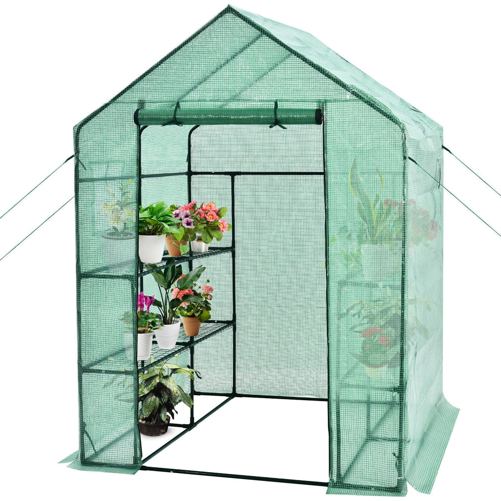 Walk-in Greenhouse 56 x 56 x 77 Inch Gardening with Observation Windows - Cheeky Garden