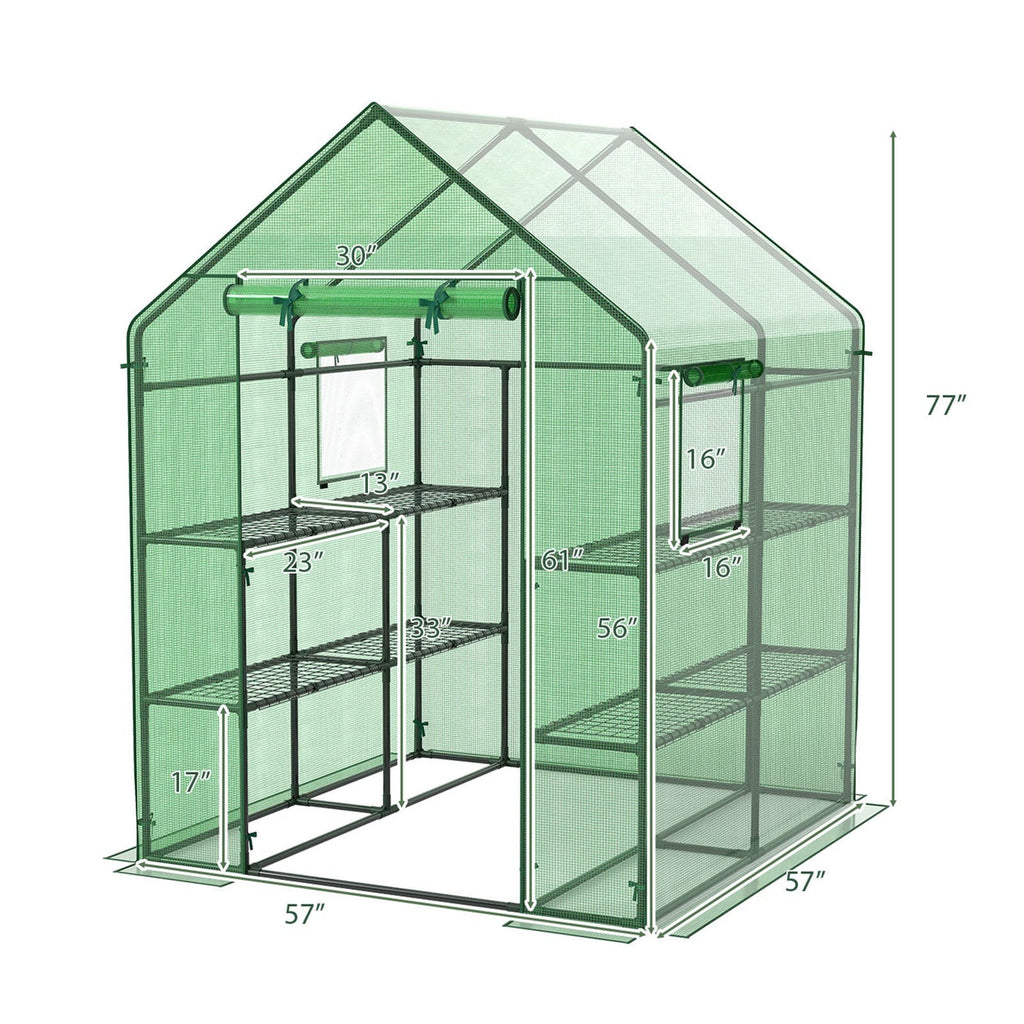 Walk-in Greenhouse 56 x 56 x 77 Inch Gardening with Observation Windows - Cheeky Garden