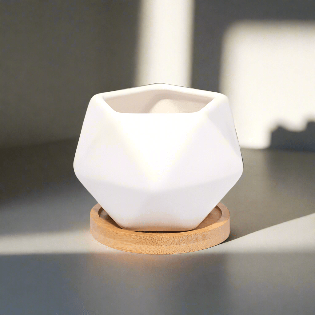 Wanda Ceramic Planter 3.5" – Empty - Cheeky Garden