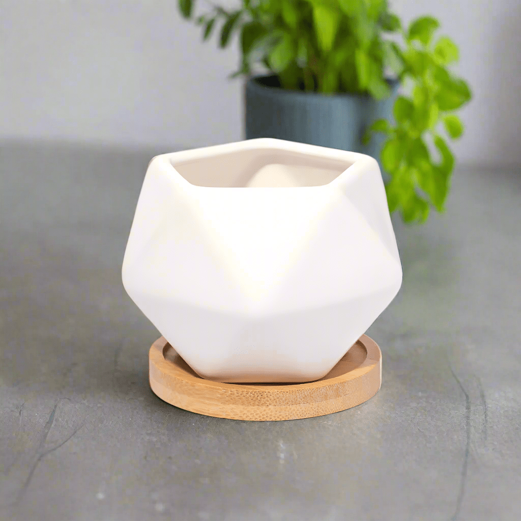 Wanda Ceramic Planter 3.5" – Empty - Cheeky Garden