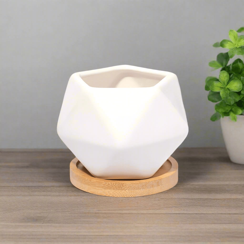 Wanda Ceramic Planter 3.5" – Empty - Cheeky Garden