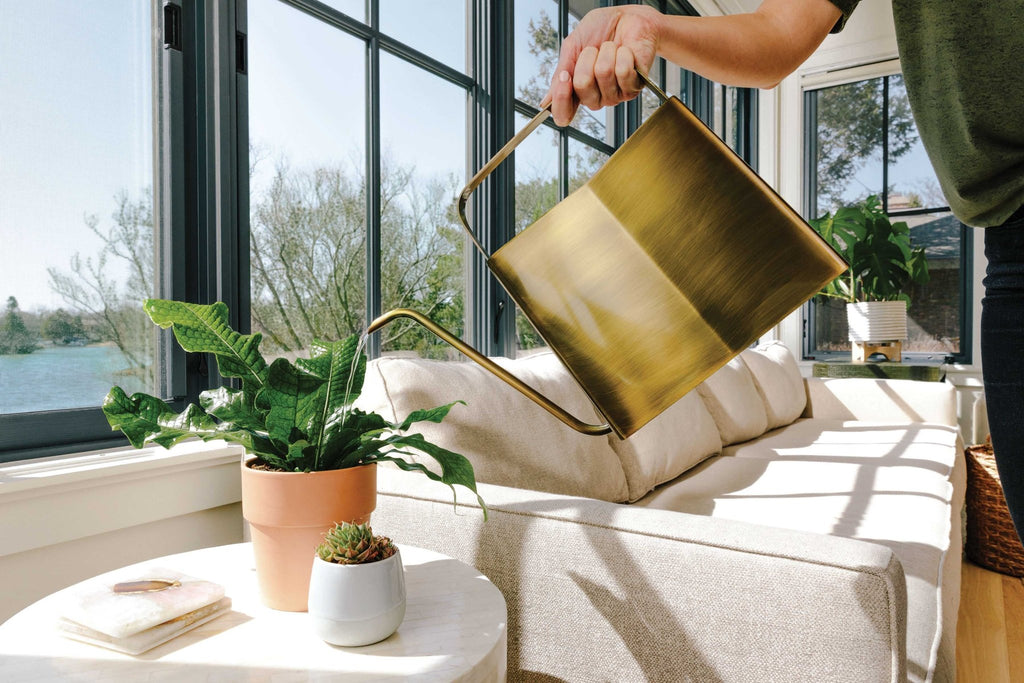 Watering Cans - Cheeky Garden