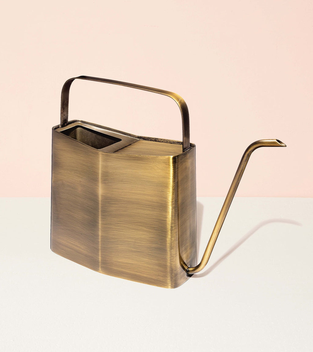 Watering Cans - Cheeky Garden