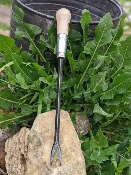 Weeding Fork (dandelion fork) Hand Forged Garden Tool - Cheeky Garden