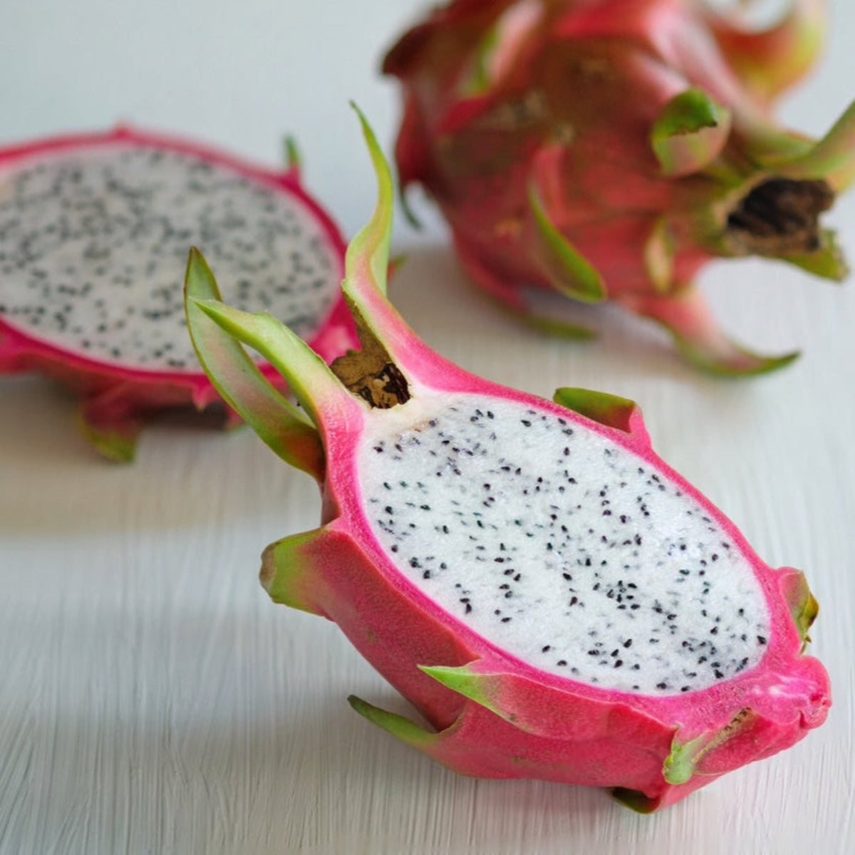 White Dragon Fruit Plant - Cheeky Garden