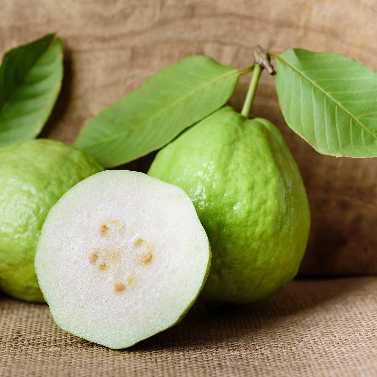 White Guava Tree - Cheeky Garden