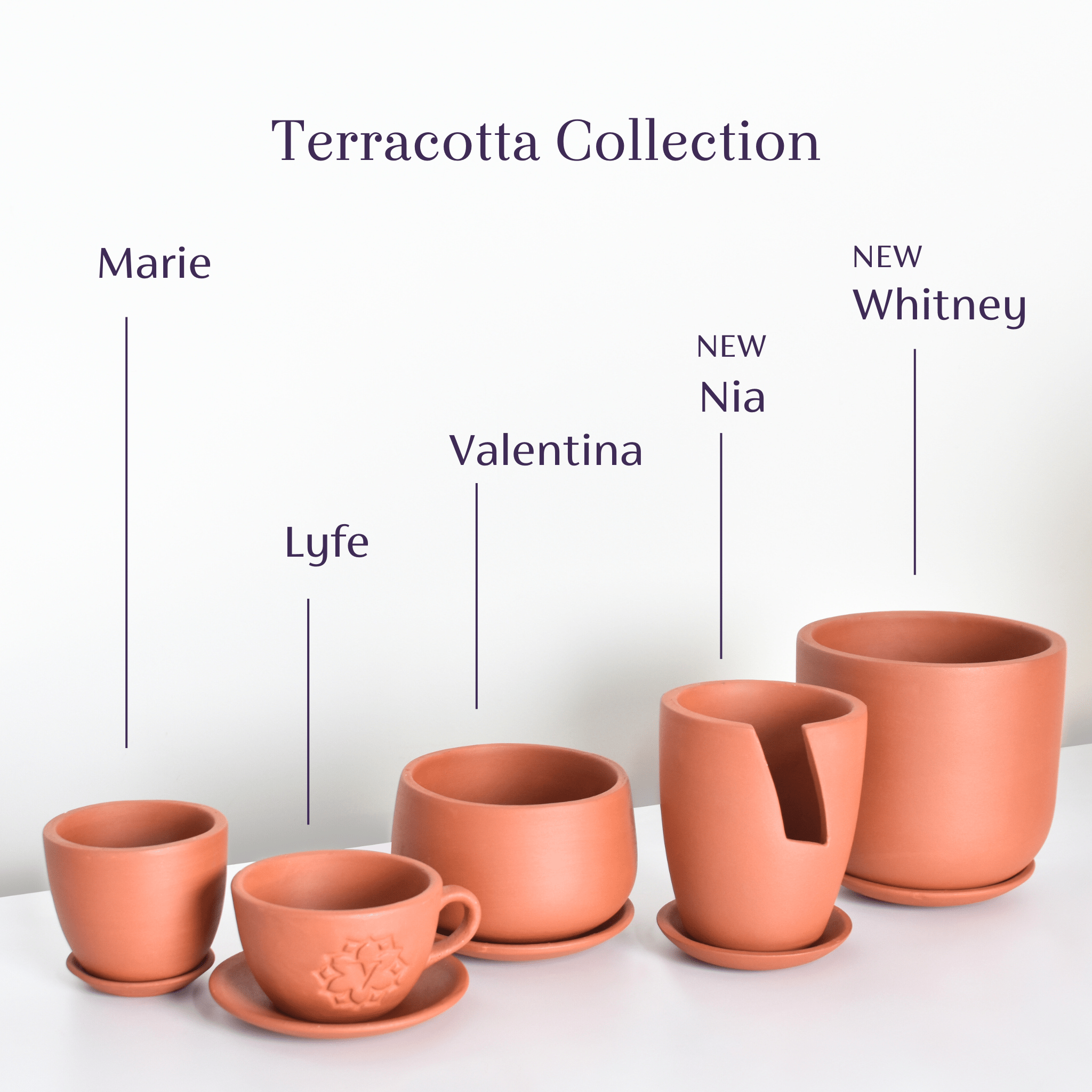 Whitney Round Terracotta Minimalist Planter – Empty - Cheeky Garden