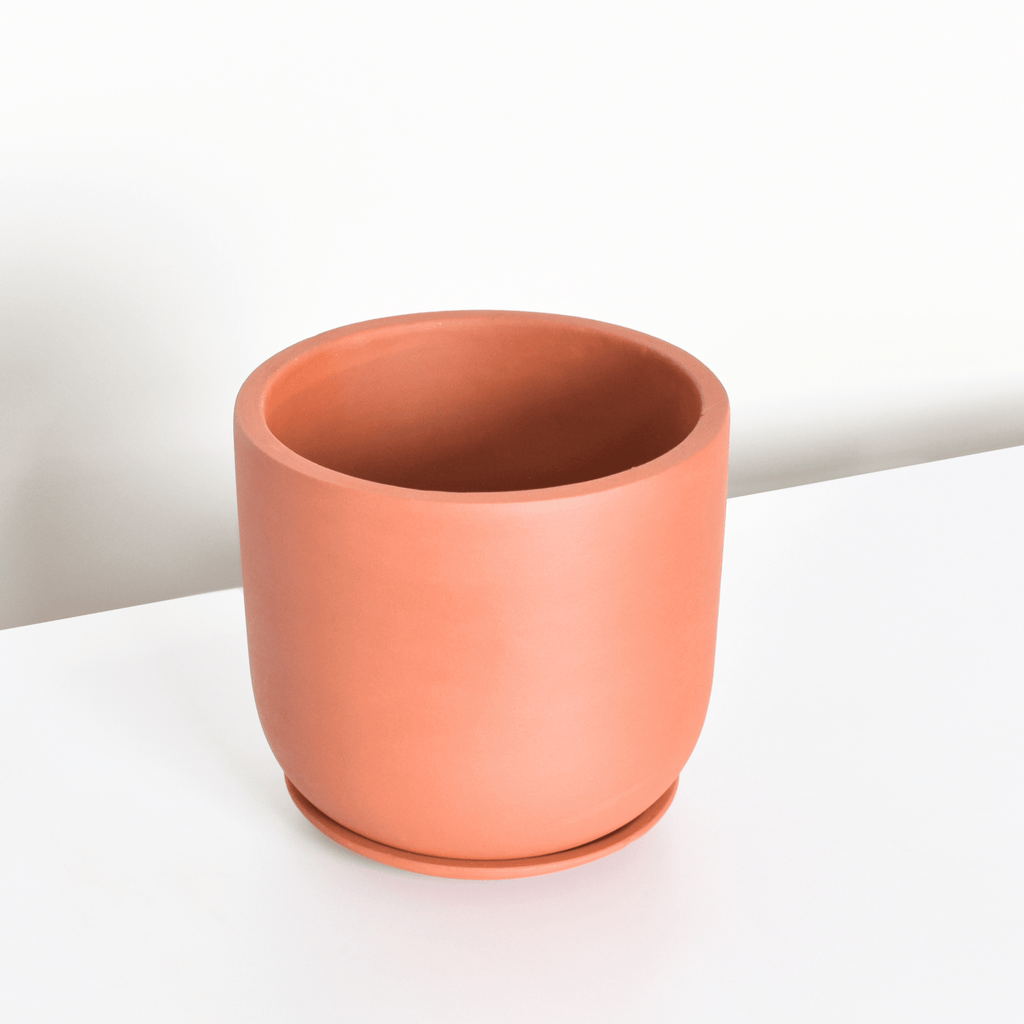 Whitney Round Terracotta Minimalist Planter – Empty - Cheeky Garden