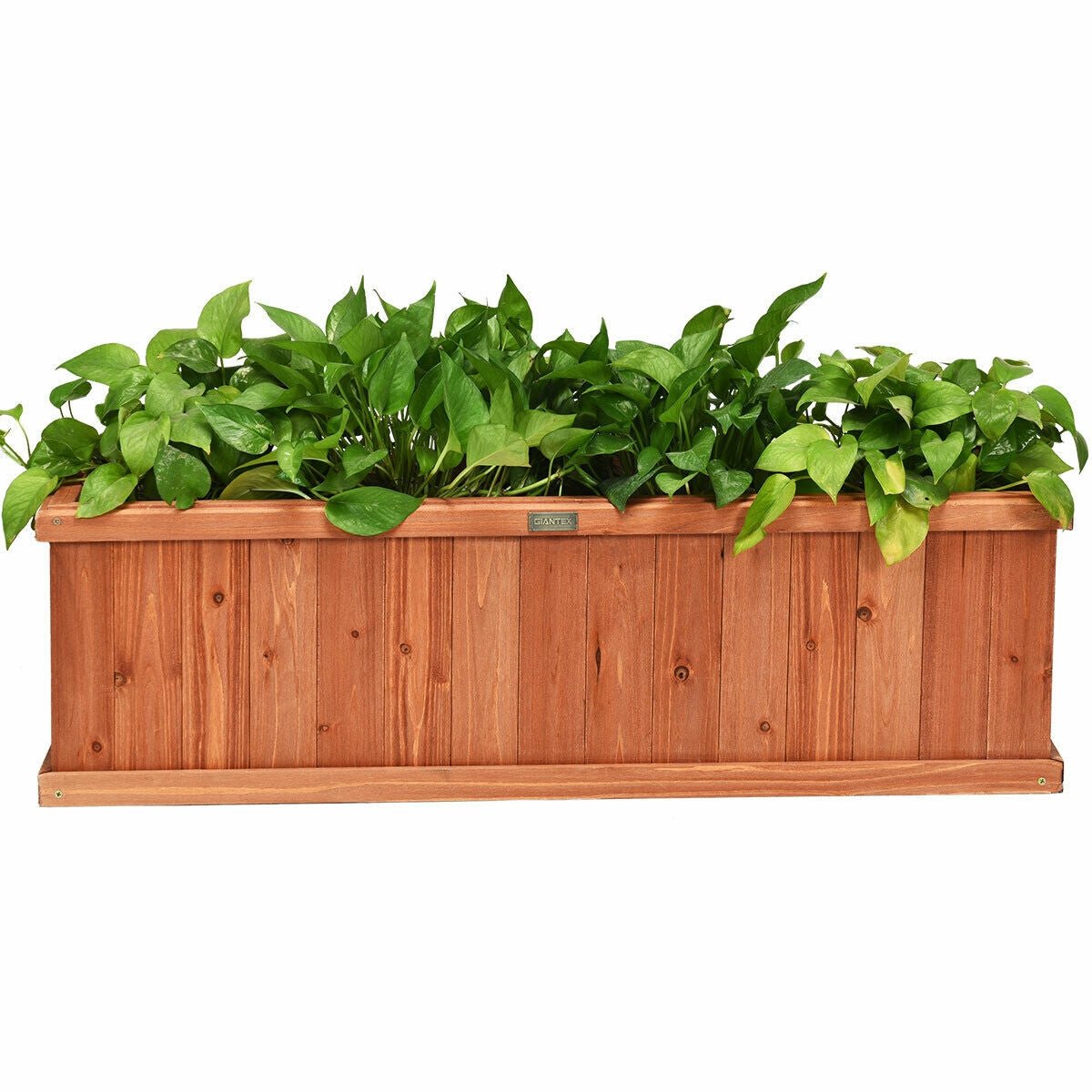 Wooden Decorative Planter Box for Garden Yard and Window - Cheeky Garden