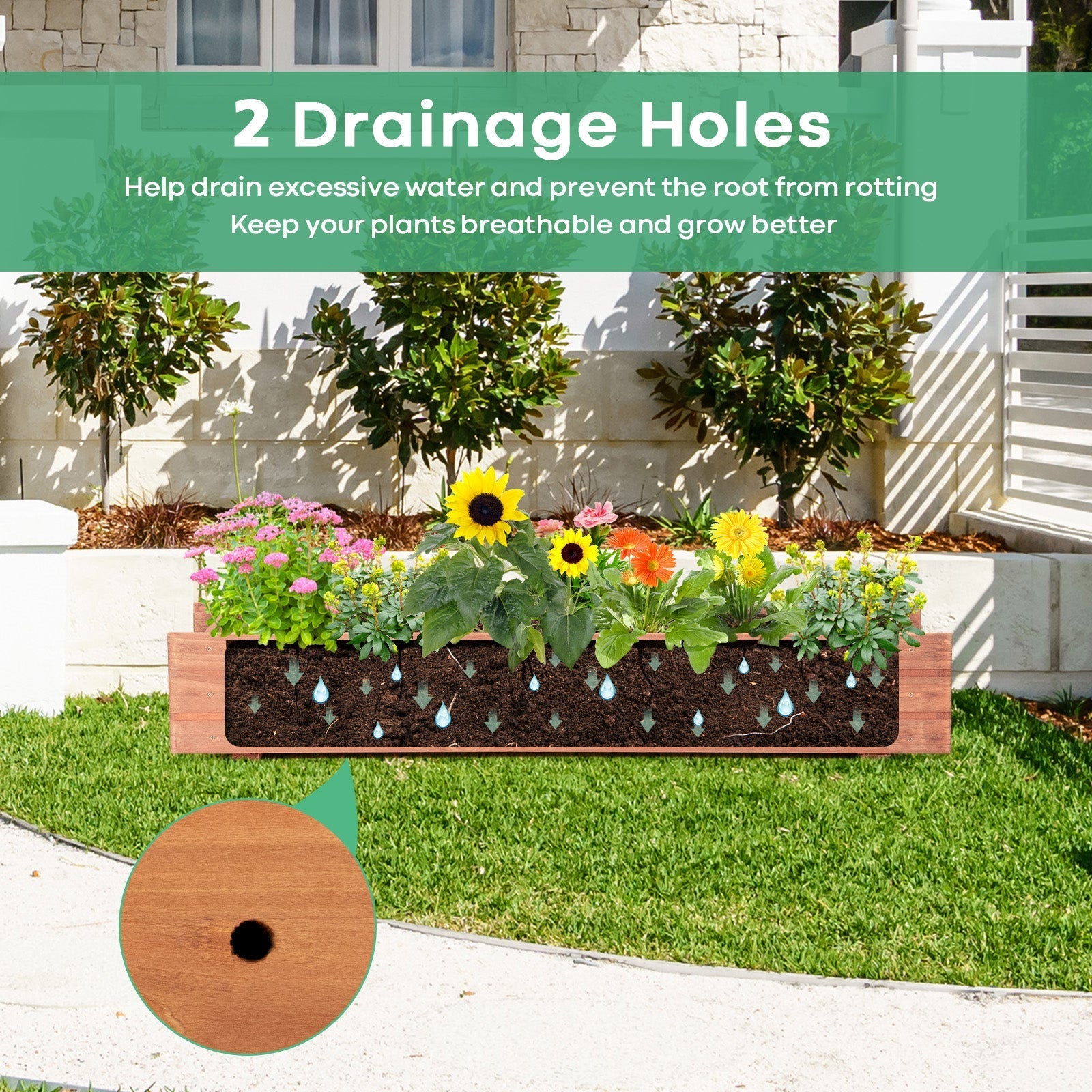 Wooden Decorative Raised Garden Bed for Yard and Window - Cheeky Garden