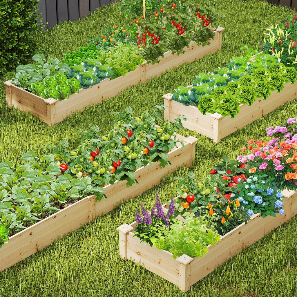 Wooden Raised Garden Bed with 2 Planter Boxes and Dividers-Natural - Cheeky Garden