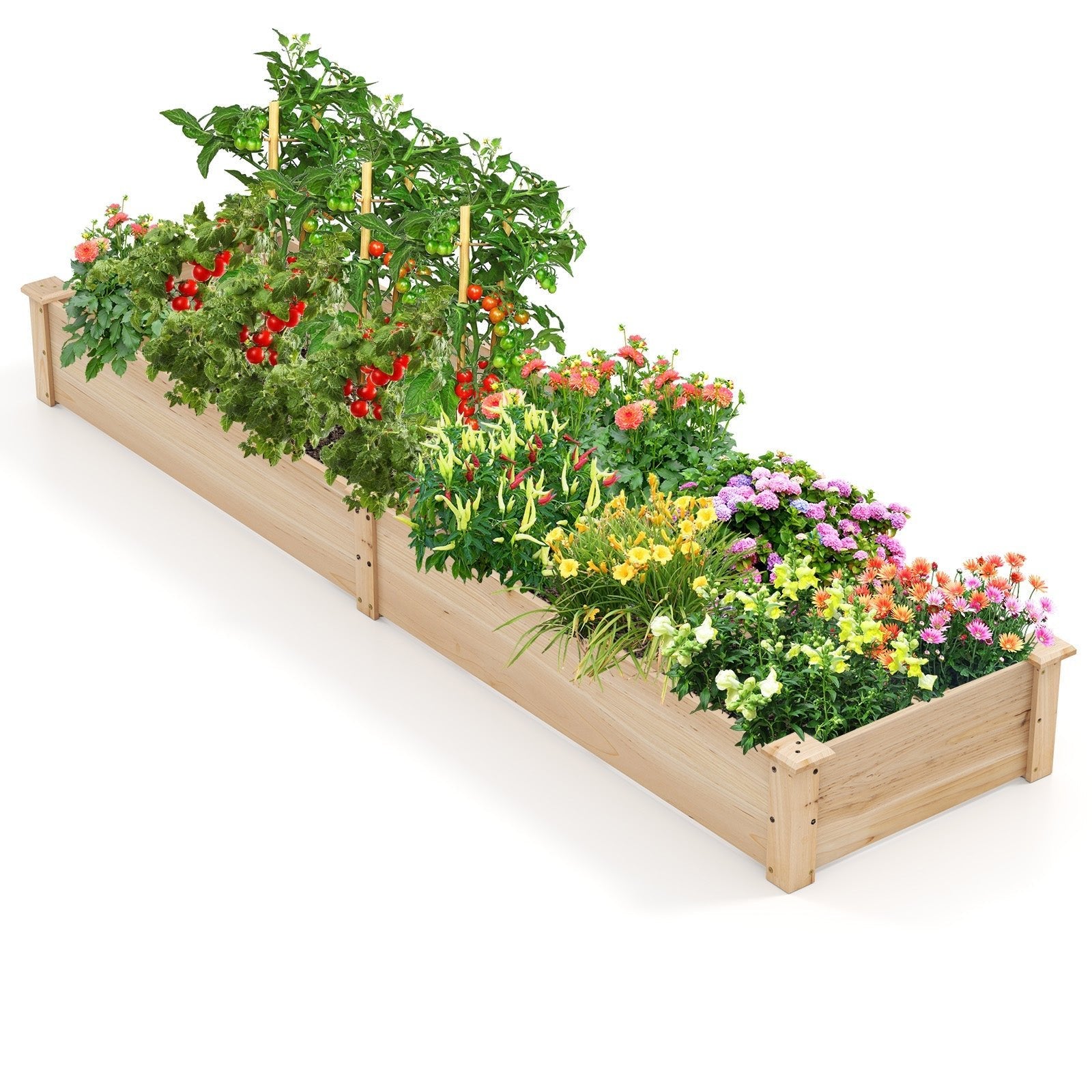 Wooden Raised Garden Bed with 2 Planter Boxes and Dividers-Natural - Cheeky Garden