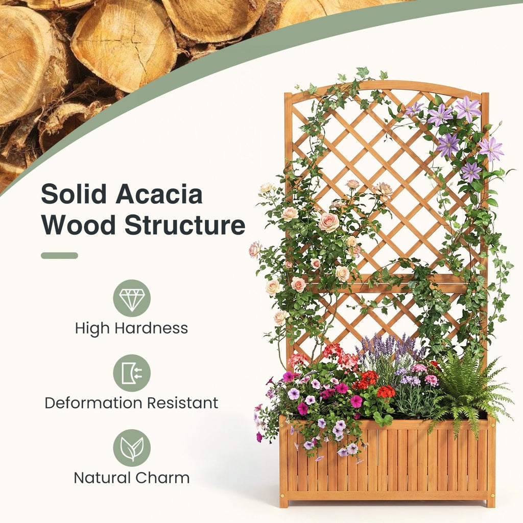 Wooden Raised Garden Bed with Trellis 63 Inch Tall Garden Planter - Cheeky Garden