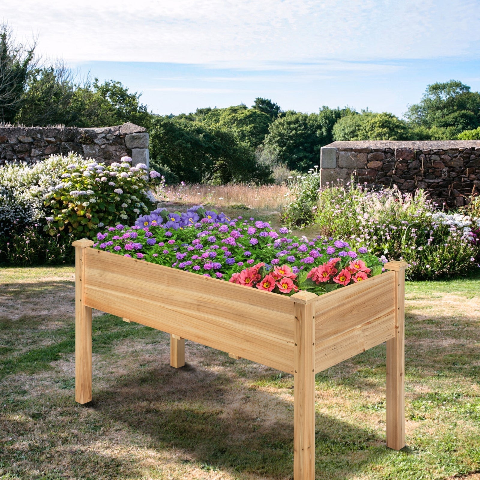 Wooden Raised Vegetable Garden Bed Elevated Grow Vegetable Planter - Cheeky Garden
