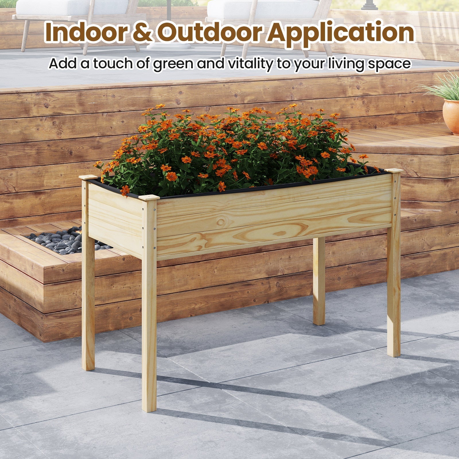 Wooden Raised Vegetable Garden Bed Elevated Grow Vegetable Planter - Cheeky Garden