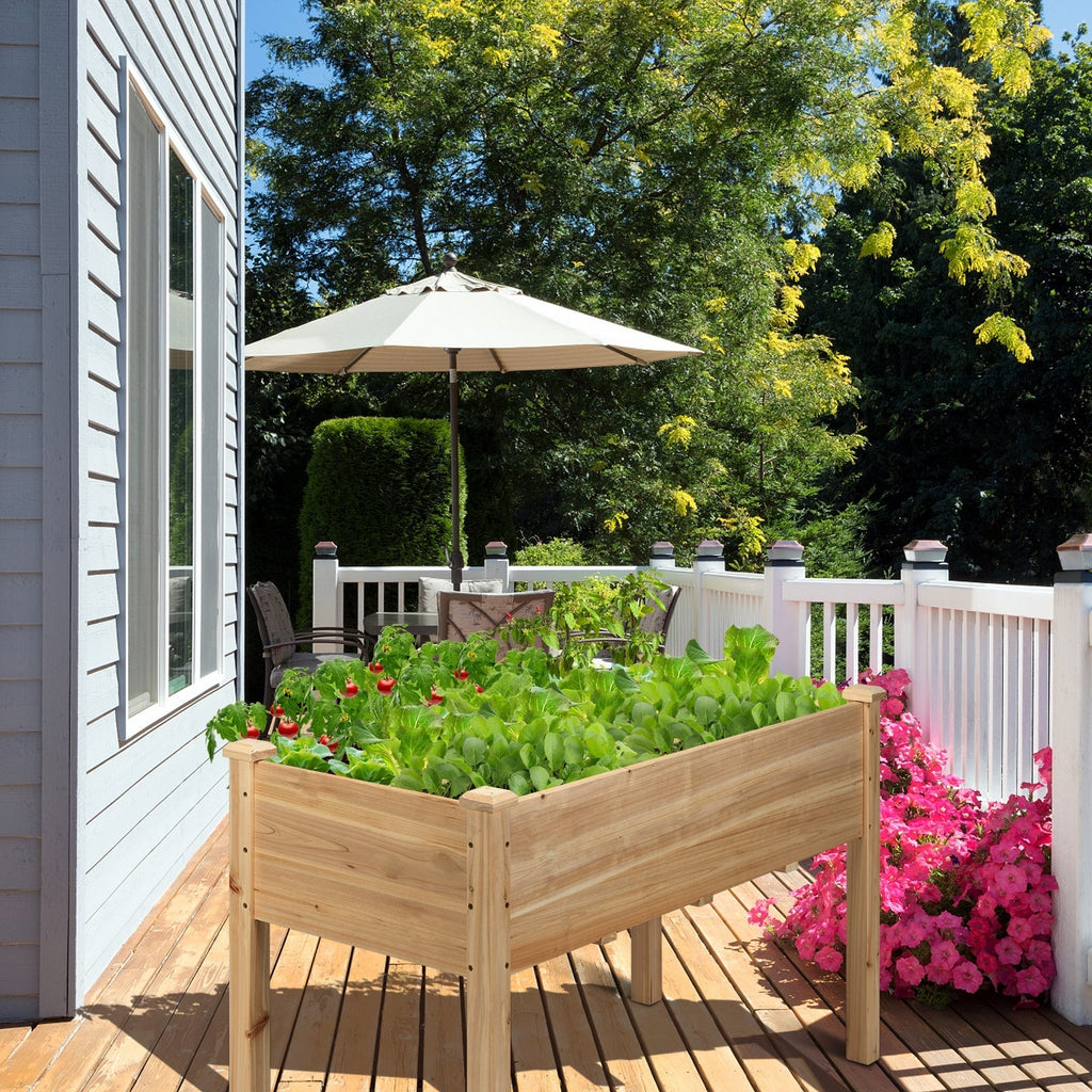 Wooden Raised Vegetable Garden Bed Elevated Grow Vegetable Planter - Cheeky Garden