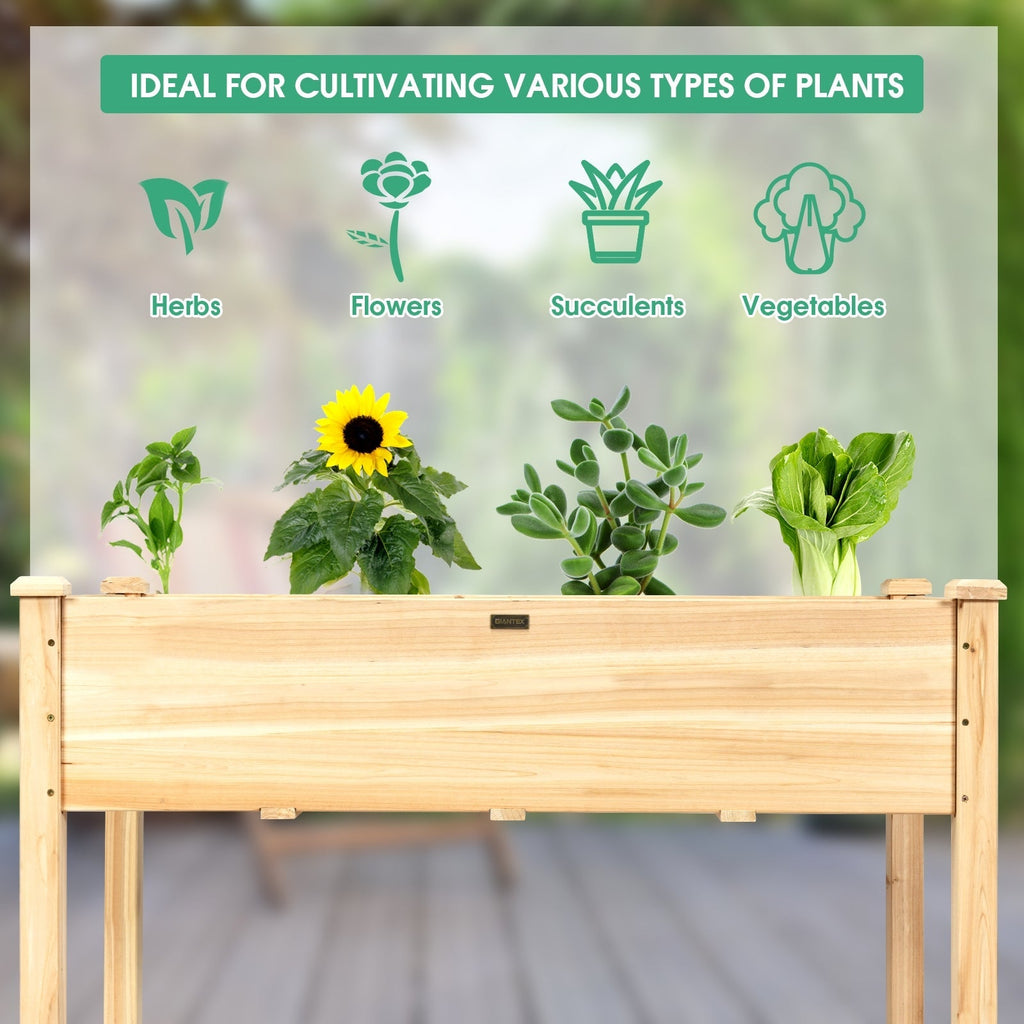 Wooden Raised Vegetable Garden Bed Elevated Grow Vegetable Planter - Cheeky Garden