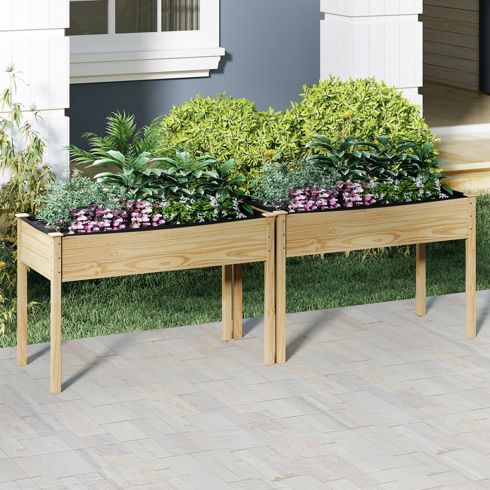 Wooden Raised Vegetable Garden Bed Elevated Grow Vegetable Planter - Cheeky Garden