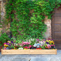 Wooden Vegetable Raised Garden Bed for Backyard Patio Balcony - Cheeky Garden