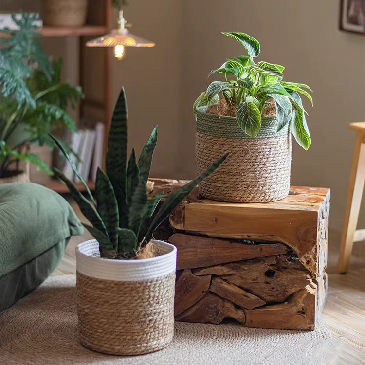 Woven Basket with Colored Rim - Cheeky Garden